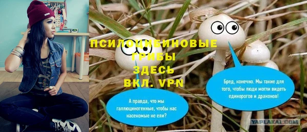 гашик Белоозёрский