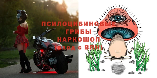 гашик Балабаново
