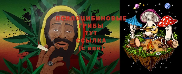 гашик Балабаново
