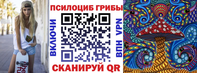 Псилоцибиновые грибы Cubensis  мориарти телеграм  Котовск 